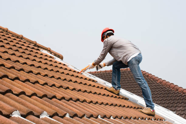 Best Roof Maintenance and Cleaning  in North Aurora, IL